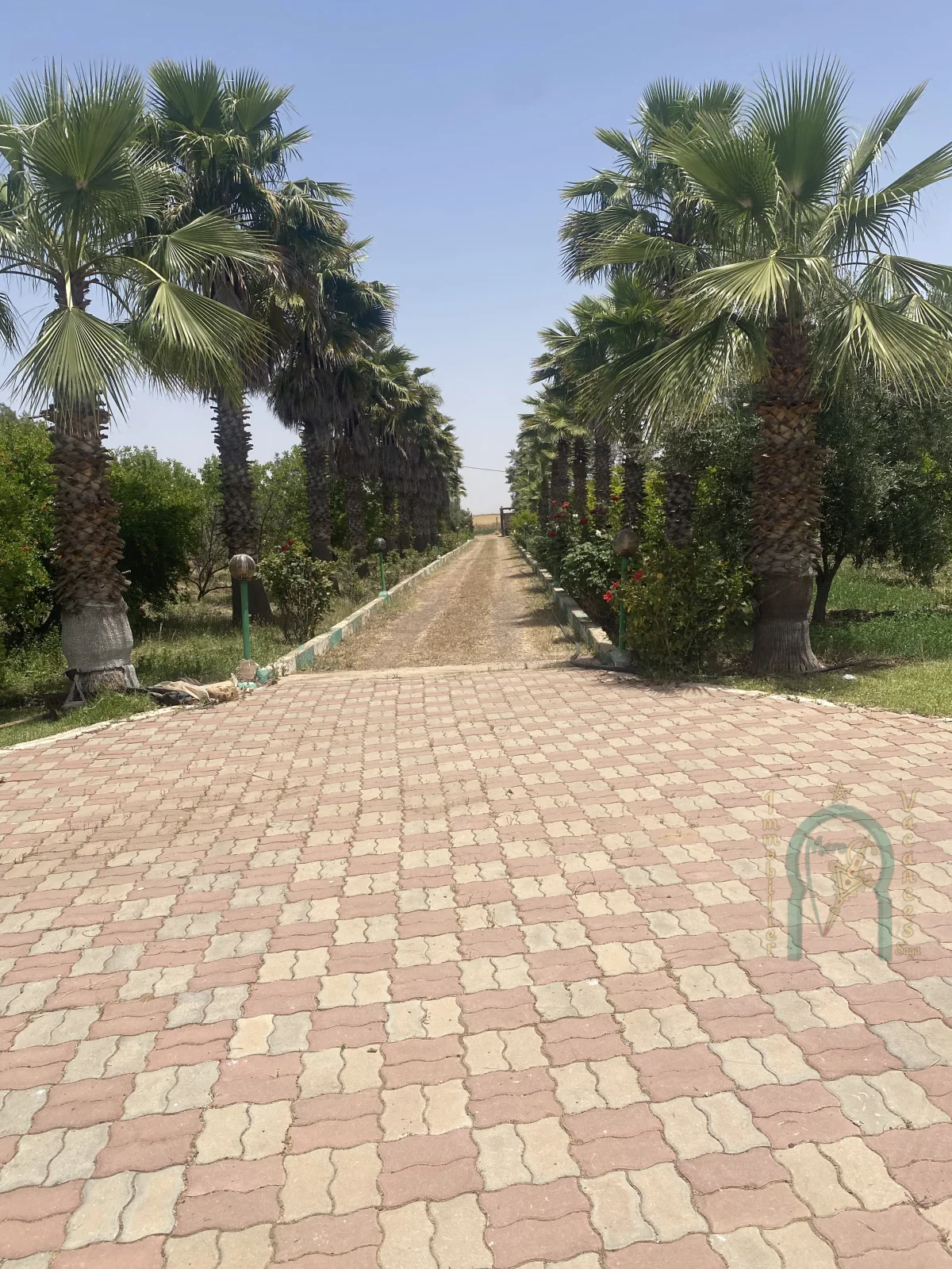 OASIS SUR 15000 M2